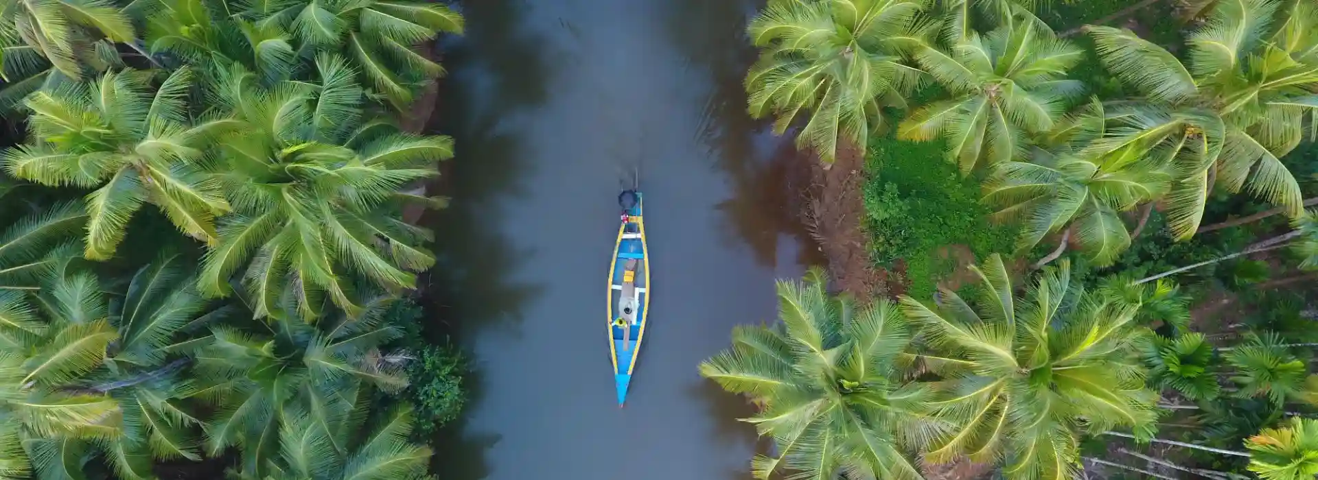 Kerala Discovery: Cochin and Kumarakom Escape